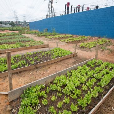 Projeto de gestão de resíduos gera 80% de taxa de reciclagem