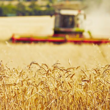 Ex-ministro Roberto Rodrigues diz que Brasil precisa pensar grande na Agronomia