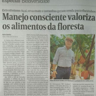 Manejo consciente valoriza os alimentos da floresta