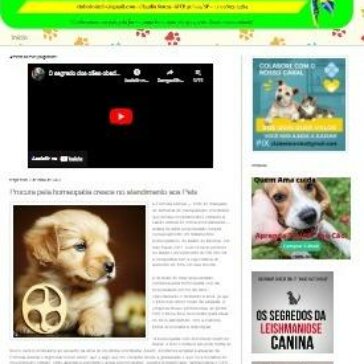 Procura pela homeopatia cresce no atendimento aos Pets – Clube do Simba