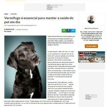 Vermífugo é essencial para manter a saúde do pet em dia – Jornal de Uberaba