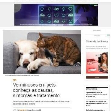 Verminoses em pets: conheça as causas, sintomas e tratamento -Alto Astral