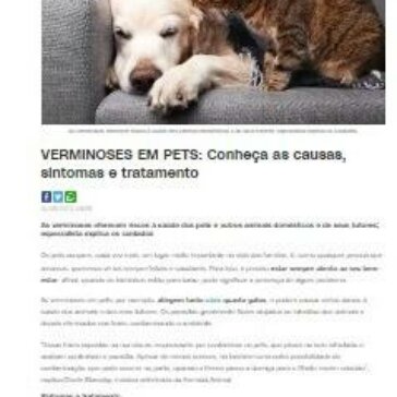 VERMINOSES EM PETS: Conheça as causas, sintomas e tratamento – MS Post