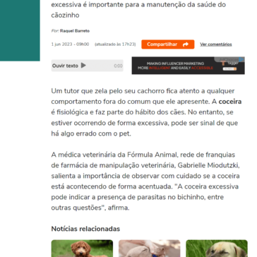 Coceira em cães: médica veterinária explica as causas e como tratar – Terra