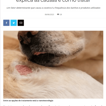 Coceira em cães: médica veterinária explica as causas e como tratar – RCI Araraquara