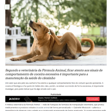 Coceira em cães: saiba o que pode causar e como tratar – Assessoria Animal