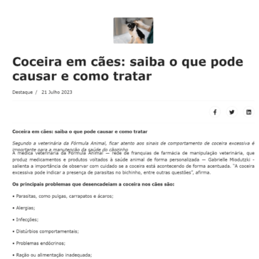 Coceira em cães: saiba o que pode causar e como tratar – JustMi