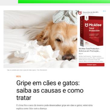 Gripe em cães e gatos: saiba as causas e como tratar – Alto Astral