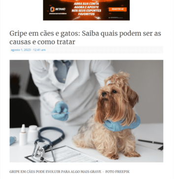 Gripe em cães e gatos: Saiba quais podem ser as causas e como tratar – Jornal Floripa