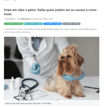 Gripe em cães e gatos: Saiba quais podem ser as causas e como tratar – Jornal da Franca