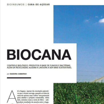 Biocana – Revista Globo Rural