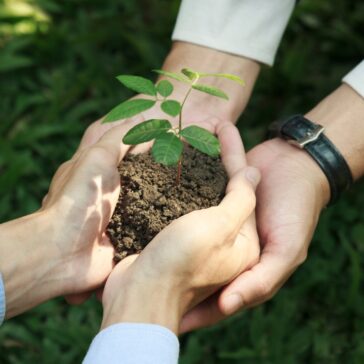 Pamplona Alimentos recebe reconhecimento de sustentabilidade por reduzir a emissão de CO2 em mais de 119 mil toneladas